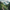 Lut Pack - Wanderlust Trails