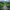 Lut Pack - Wanderlust Trails