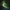 Lut Pack - Faded Green