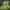 Lut Pack - Faded Green