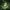 Lut Pack - Faded Green