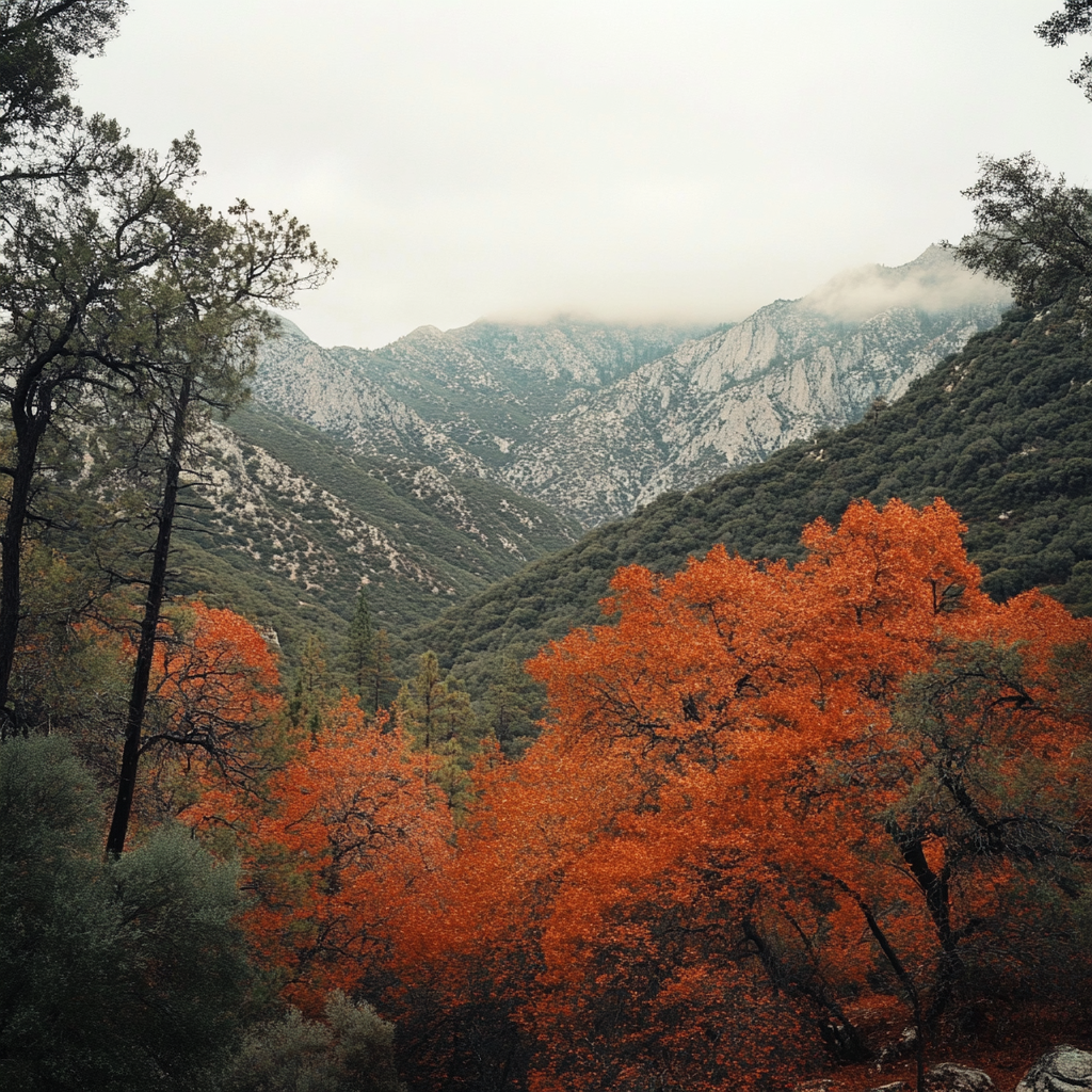 Lut Pack - California Vibes