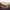 Lut Pack - California Vibes