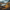 Lut Pack - Autumn Warmth