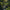 Lut Pack - Faded Green