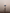 Premium Mega Pack Fenlichtsicht Style – 1000+ Images