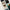 Eclectic Collection: Random Motif Wallpaper Pack