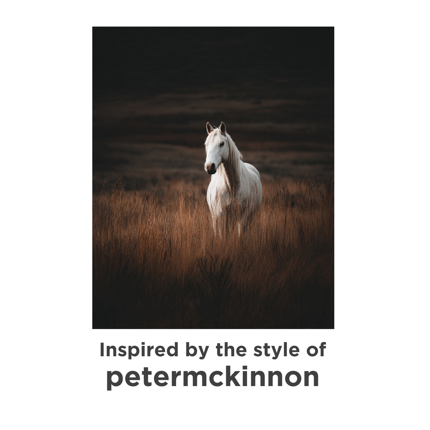 Style Reference for Midjourney like petermckinnon