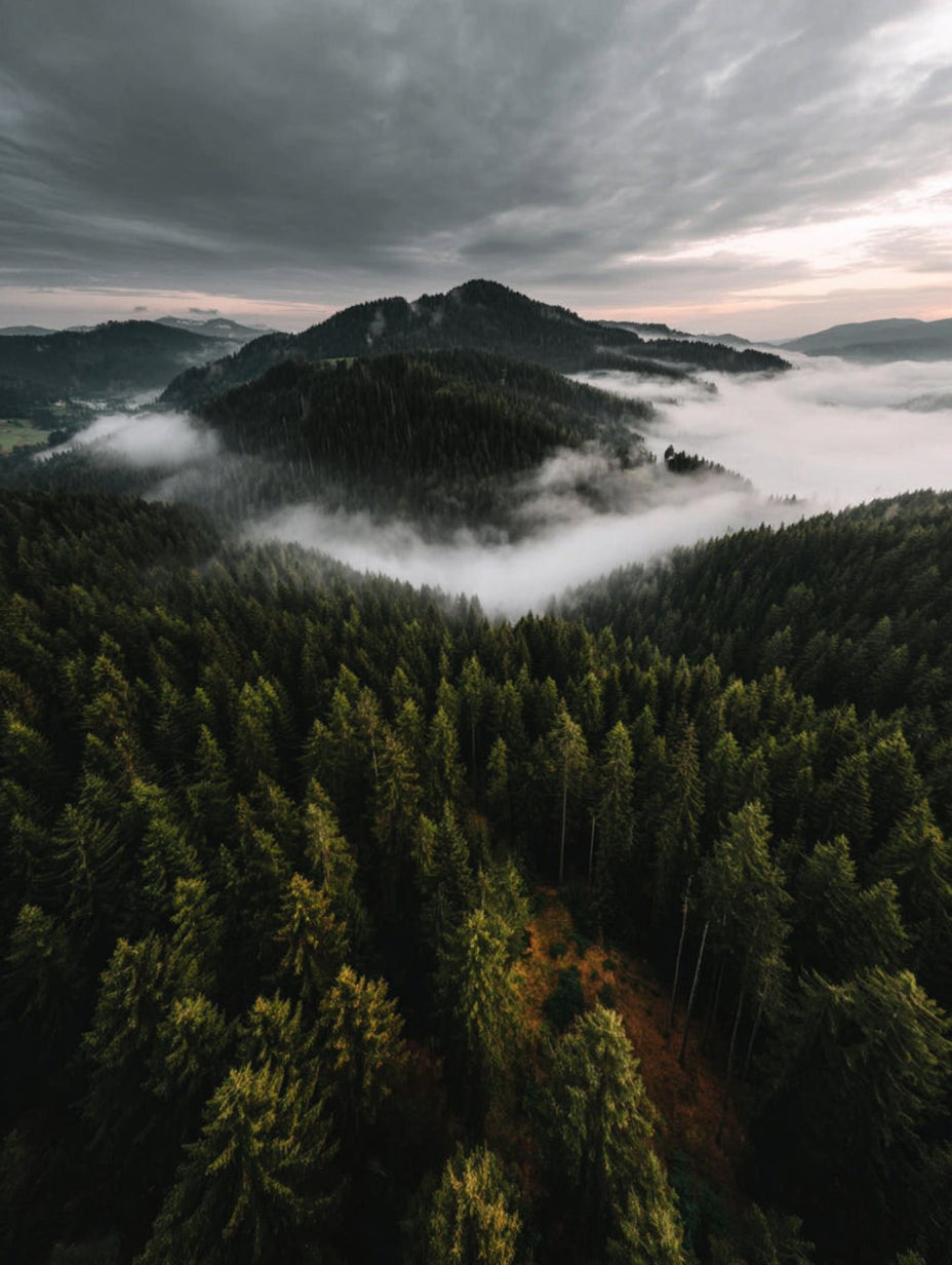 Ultimate Creation Masterclass